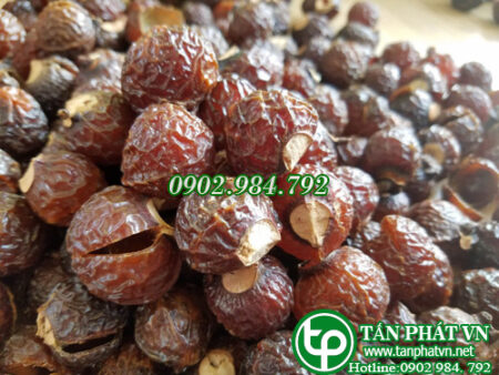 Bồ hòn sấy khô tách hạt