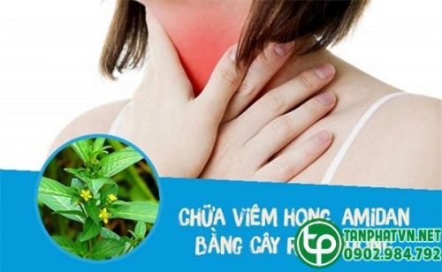 Công dụng của cây rau mương khô