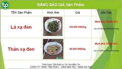 Bảng giá cây xạ đen 