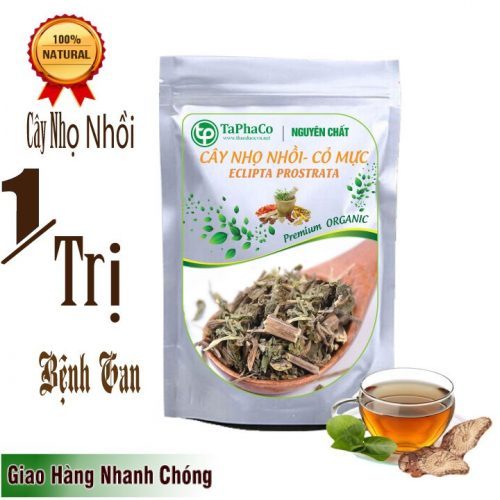 Cỏ nhọ nồi khô - Tấn Phát