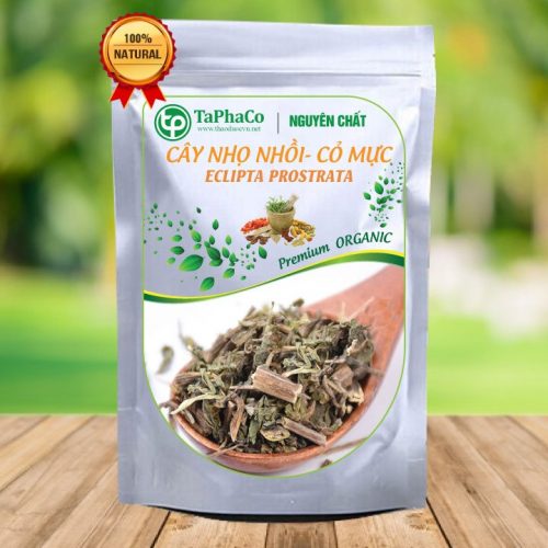Cỏ nhọ nồi khô - Tấn Phát