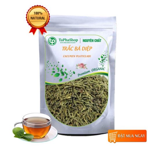 Trắc bá diệp khô - Tấn Phát
