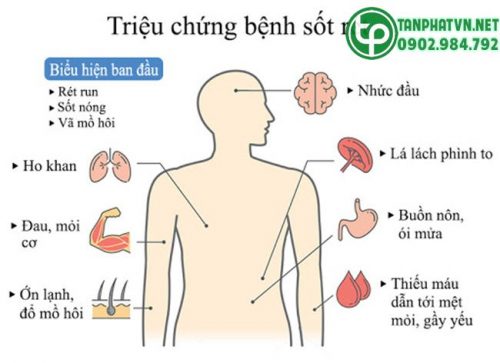 Bệnh sốt rét