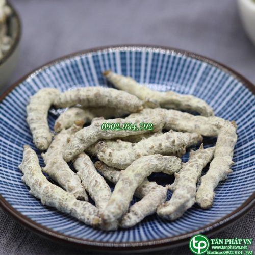 Lưu ý khi sử dụng bạch cương tằm cho người huyết áp thấp