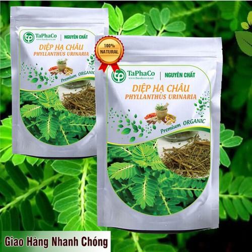 Diệp hạ châu tại Tấn Phát