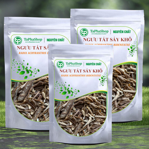 Mua ngưu tất sấy khô tại TP.HCM