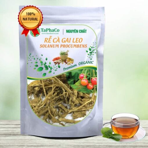 Rễ cà gai leo