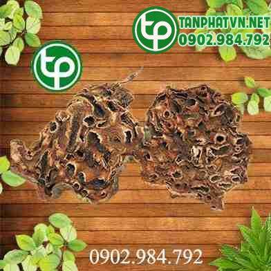 Bí kỳ nam tấn phát