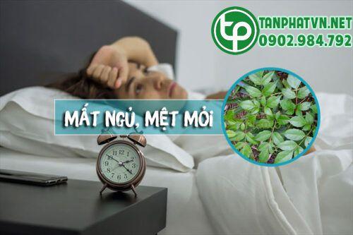 Chè dây Cao Bằng trị mất ngủ