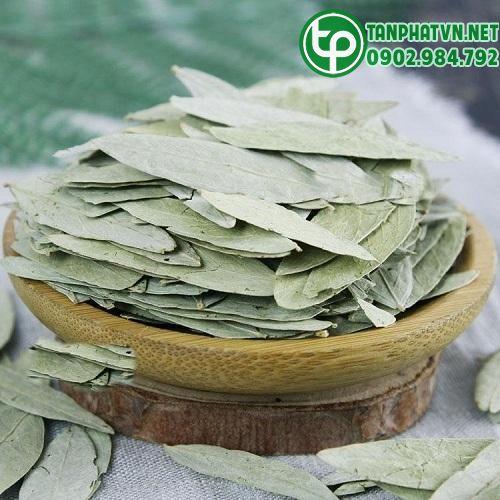 Phan tả diệp khô Tấn Phát