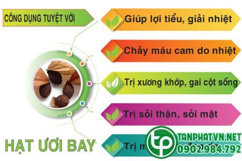 Công dụng của hạt ươi