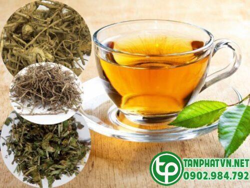 Nước sắc cà gai leo