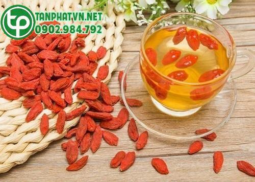 Câu kỷ tử dùng làm trà