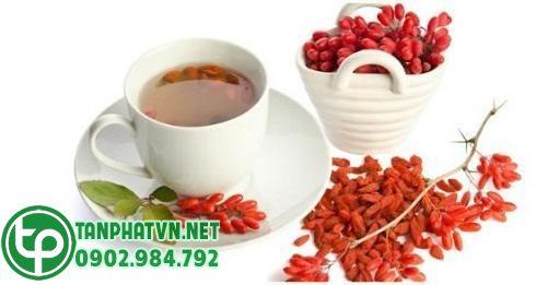 Câu kỷ tử chất lượng