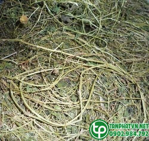 Dây khổ qua nguyên chất sấy khô