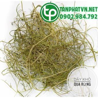 Dây khổ qua rừng