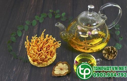 Trà đông trùng hạ thảo
