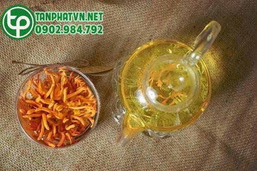 Công dụng của đông trùng hạ thảo nguyên chất