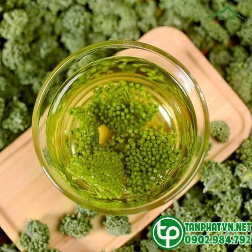 Trà nụ hoa tam thất