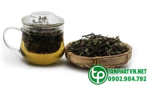 Cỏ ngọt sấy khô