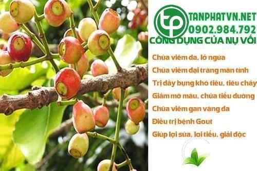 Công dụng của nụ vối