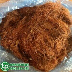 Râu ngô tại Tấn Phát