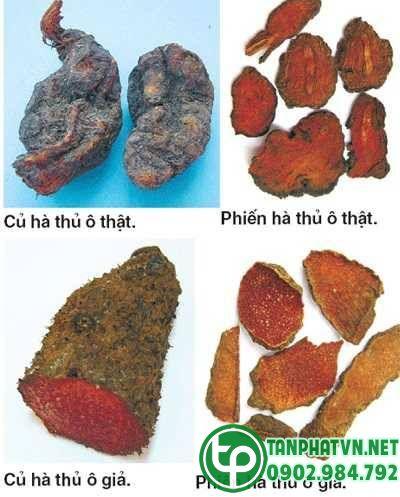 Phân biệt củ hà thủ ô