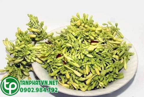 Đu đủ đực tươi nguyên chất