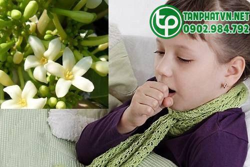 giải cảm từ đu đủ đực