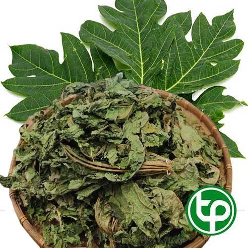 Lá đu đủ khô tại Tấn Phát