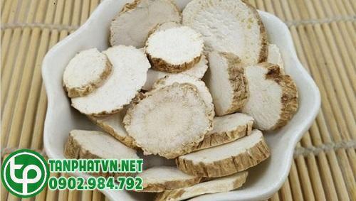 Củ bạch chỉ tại Tấn Phát