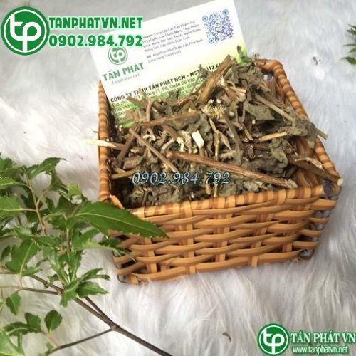 Ưu đãi đặc biệt khi mua cỏ xước khô Tấn Phát