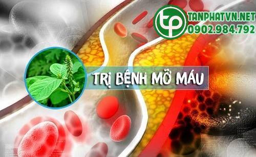 Trị bệnh từ cỏ xước