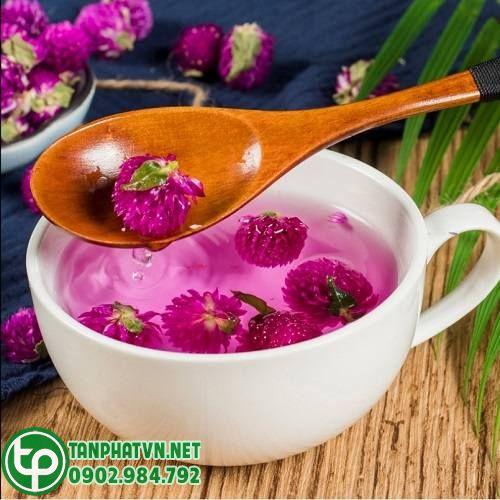thức uống bổ dưỡng cúc bách nhật