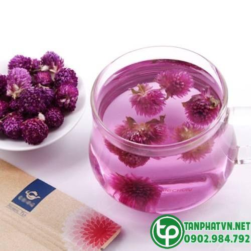 tìm hiểu về trà hoa cúc