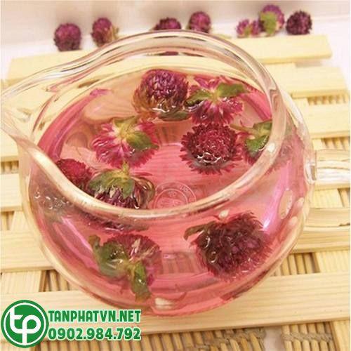 sắc trà uống hằng ngày