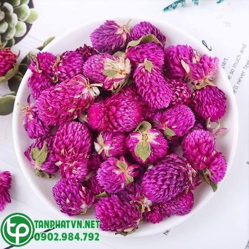 Địa Chỉ Bán Hoa Cúc Bách Nhật Khô Tại An Giang Địa Chỉ Bán Hoa Cúc Bách Nhật Khô Tại An Giang