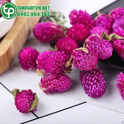 cúc bách nhật sấy khô