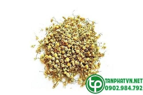 Hoa cúc vàng khô tại Tấn Phát