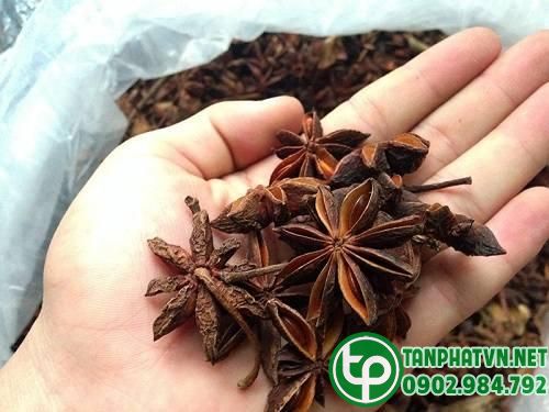 hoa hồi khô tanphat
