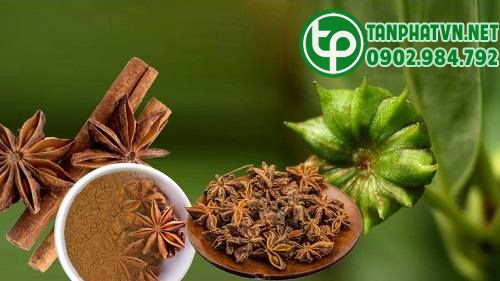 hoa hồi tươi