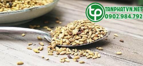 dược liệu hoa hòe