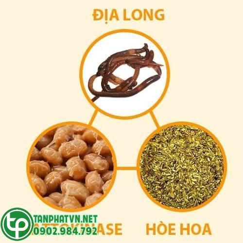 dược liệu hoa hòe dùng làm thuốc trị bệnh