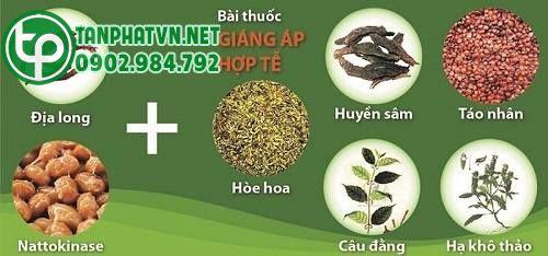 Công dụng trị bệnh từ hoa hòe