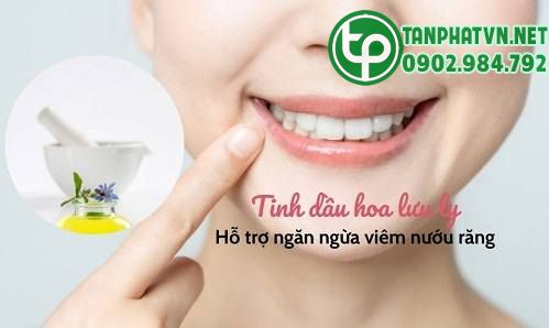 tinh dầu hoa lưu ly