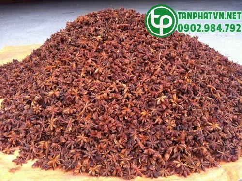 hoa hồi tanphat sấy 
