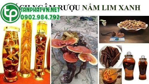 Rượu nấm lim xanh