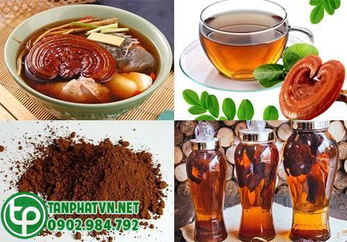 Dùng nấm lim xanh làm thuốc chữa trị bệnh