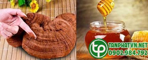 nấm lim xanh pah cùng mật ong