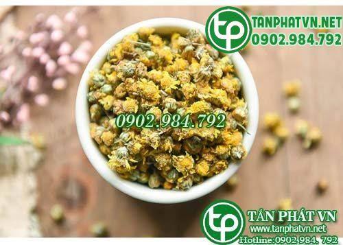 Nụ cúc dược liệu tanphat